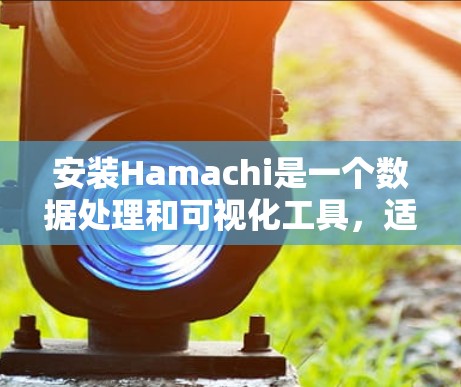 安装Hamachi是一个数据处理和可视化工具，适用于处理和分析各种数据类型。以下是详细的安装步骤，适用于不同平台