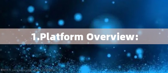 1.Platform Overview: 1.Platform Overview: