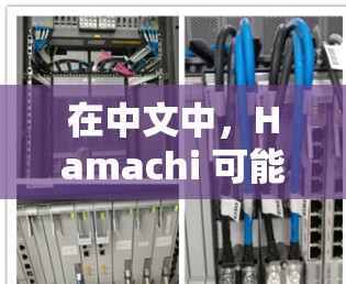在中文中，Hamachi 可能指代不同的事物，具体含义取决于上下文。以下是一些可能的解释和配置方法，供您参考