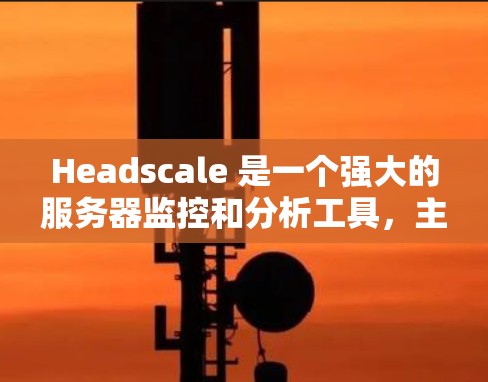 Headscale 是一个强大的服务器监控和分析工具，主要用于检测服务器的性能、安全和健康状况。以下是一个详细的Headscale服务器配置步骤指南，帮助您熟悉其功能并成功配置