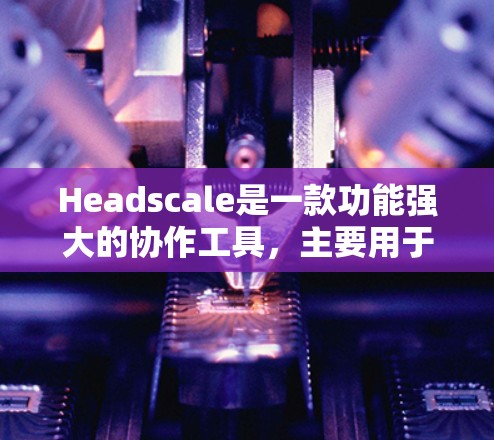 Headscale是一款功能强大的协作工具，主要用于团队管理、项目协调、数据共享等方面。如果你对Headscale感兴趣，以下是一些基本的教程和步骤，帮助你熟悉它的使用方法