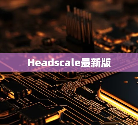 Headscale最新版 Headscale最新版