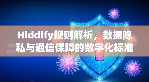 Hiddify规则解析,数据隐私与通信保障的数字化标准